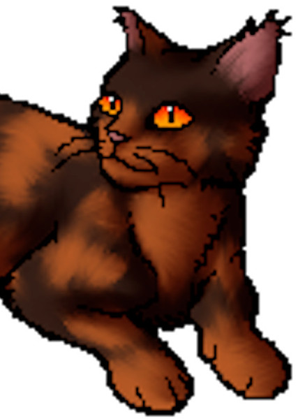Redtail (Warrior Cats) photo