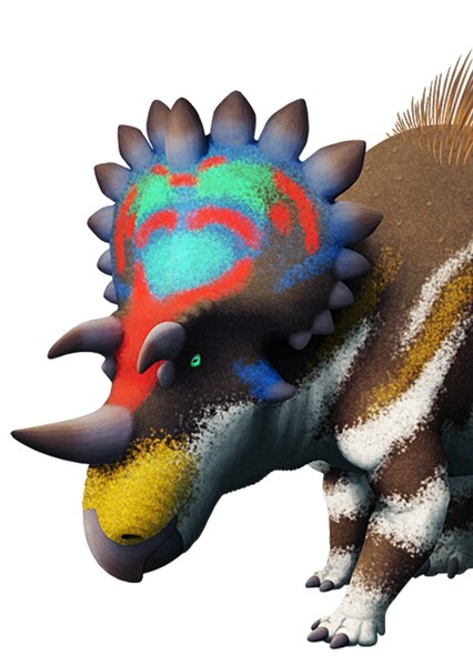 Regaliceratops photo