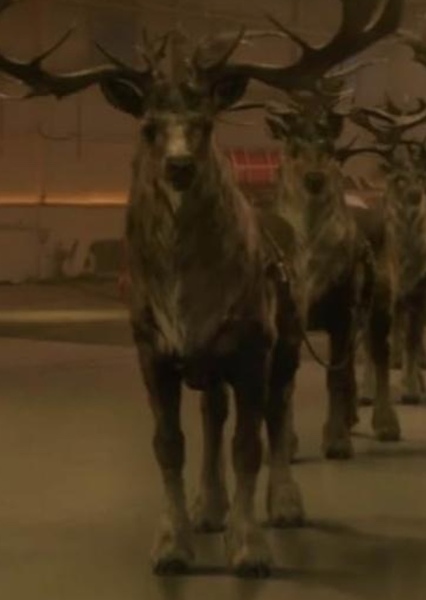 Reindeer (Red One)
