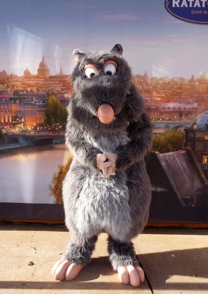 Remy (Ratatouille) photo