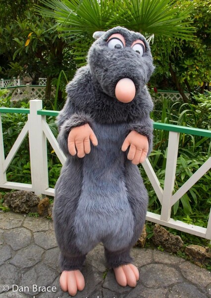 Remy (Ratatouille)