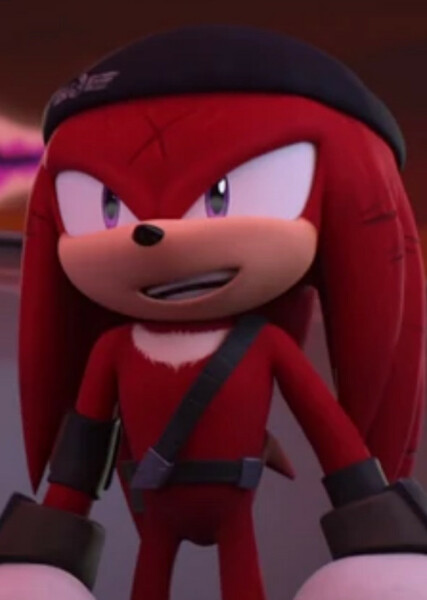 Renegade Knucks (Knuckles the Echidna) photo