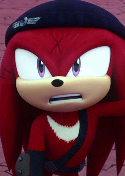 Renegade Knucks (Knuckles the Echidna) photo