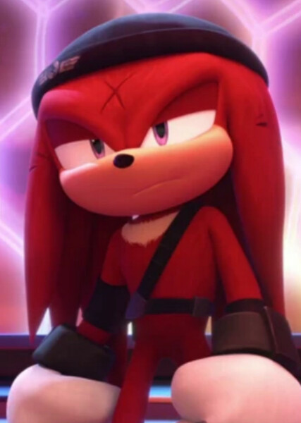 Renegade Knucks (Knuckles the Echidna) photo