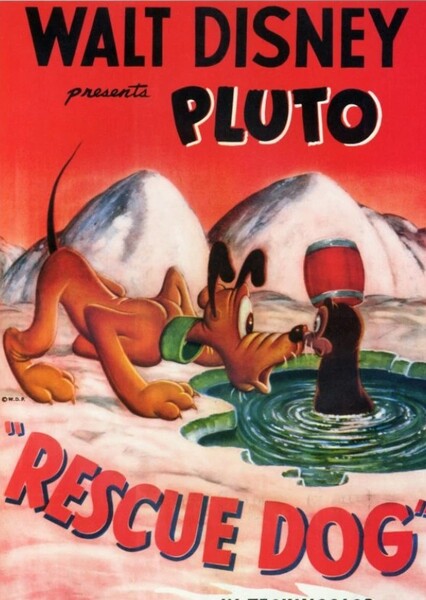 Rescue Dog