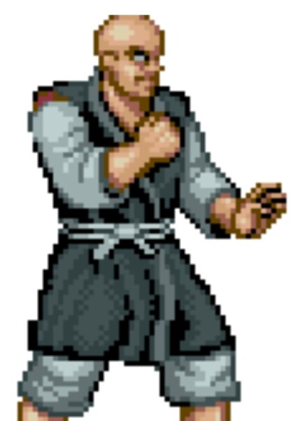Retsu (Street Fighter) photo