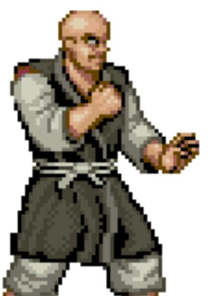 Retsu (Street Fighter) photo