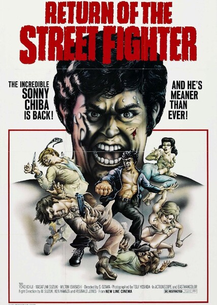 Return of the Street Fighter