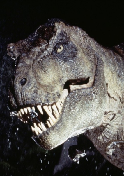Rexy photo