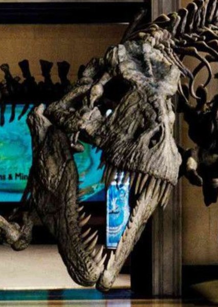 Rexy (Night at the Museum)