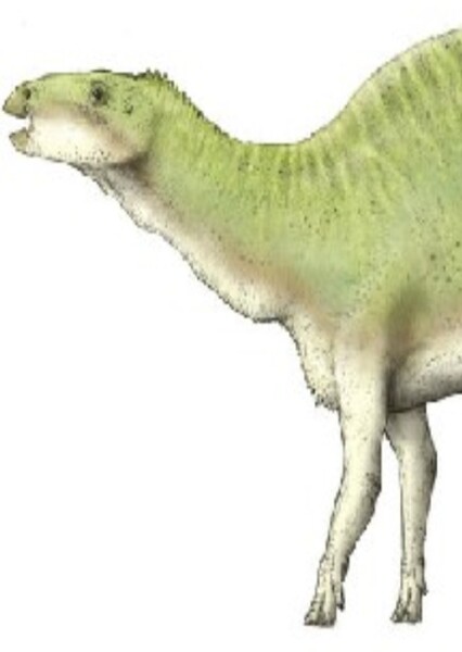 Rhabdodon photo
