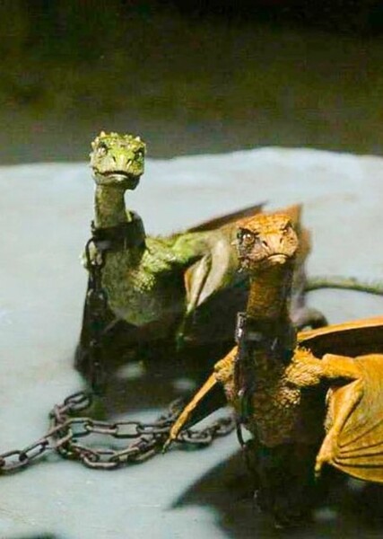 Rhaegal