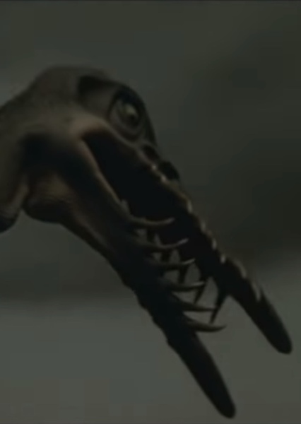 Rhamphorhynchus photo