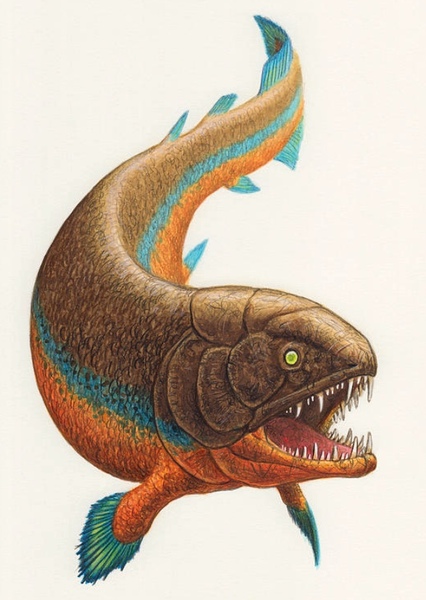 Rhizodus
