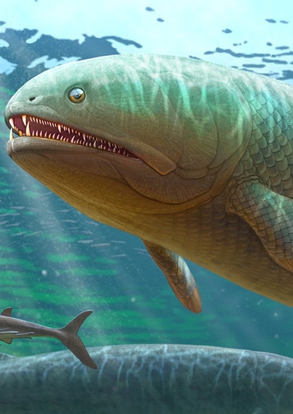 Rhizodus photo