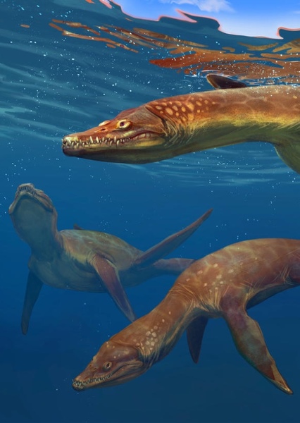 Rhomaleosaurus photo