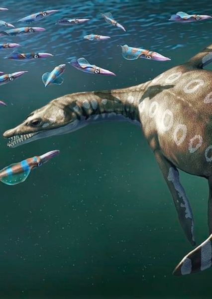 Rhomaleosaurus photo