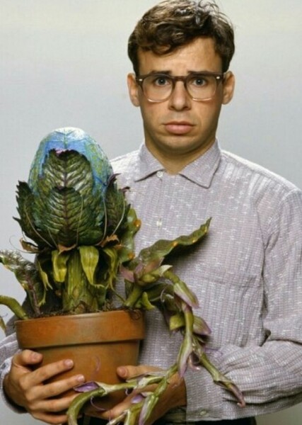 Rick Moranis photo