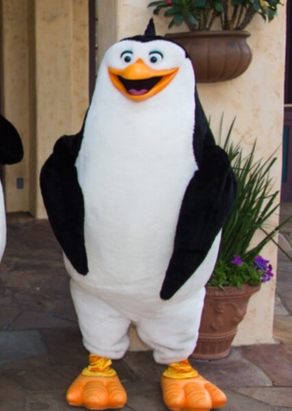Rico (Penguins of Madagascar) photo