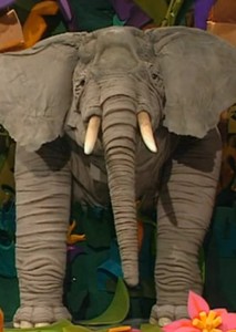 Ringo the Elephant