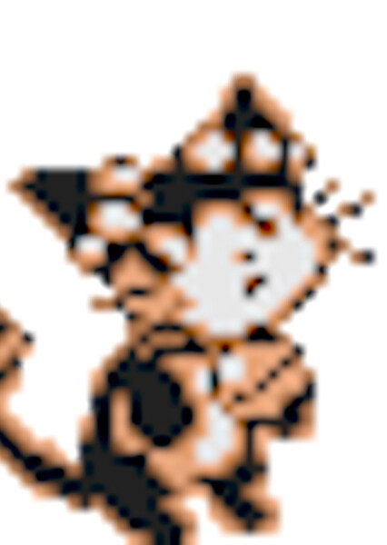 Rinrin (Pokémon)