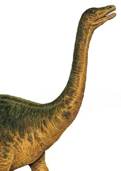 Riojasaurus