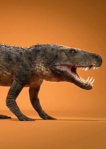 Riojasuchus