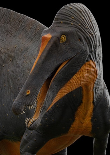 Riparovenator photo