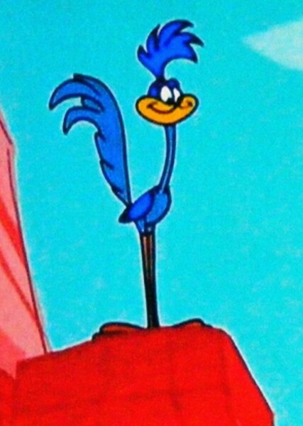 Road Runner photo