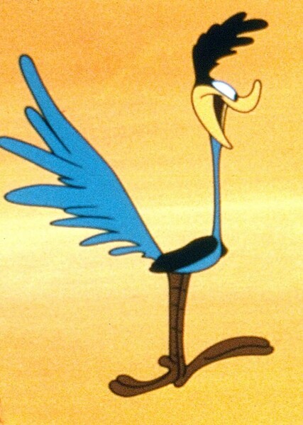 Road Runner photo