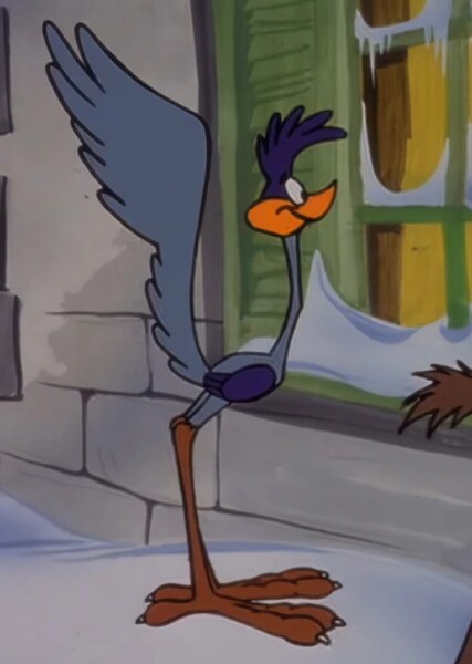 Road Runner photo