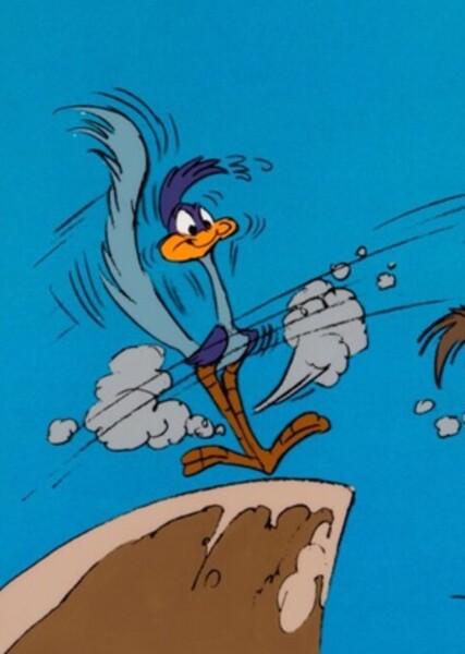Road Runner photo