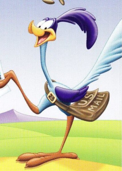 Road Runner photo
