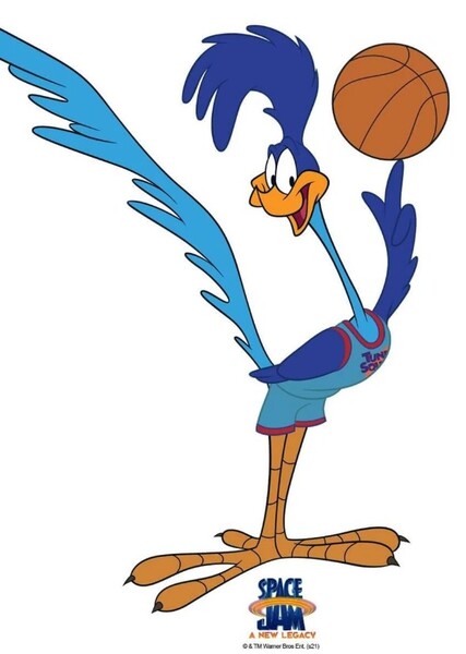 Road Runner photo