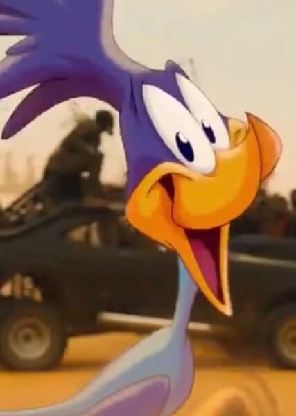 Road Runner photo