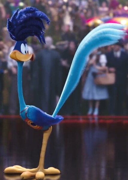 Road Runner photo