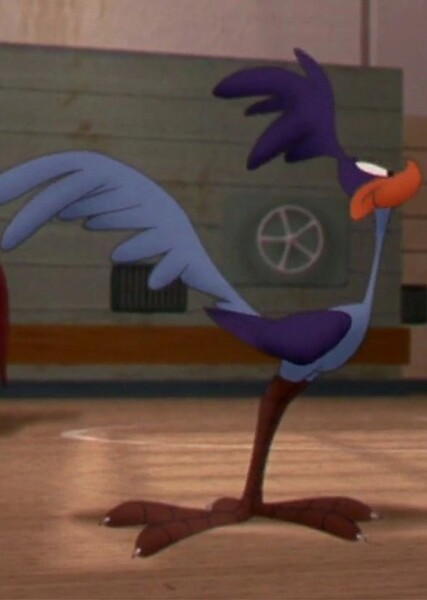 Road Runner photo