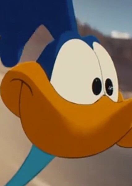 Road Runner photo