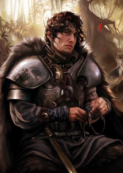 Robb Stark photo