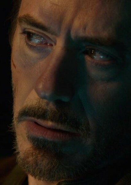 Robert Downey Jr. photo
