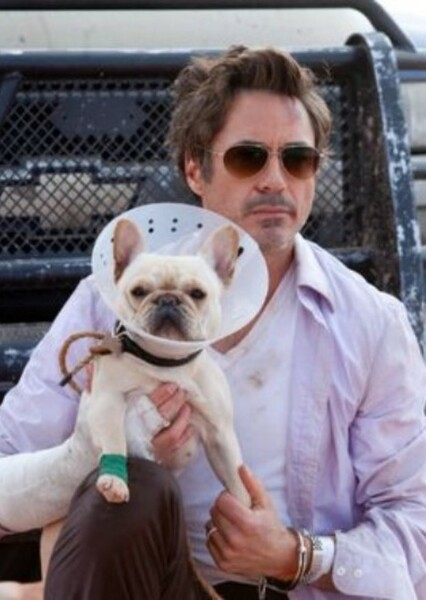 Robert Downey Jr. photo