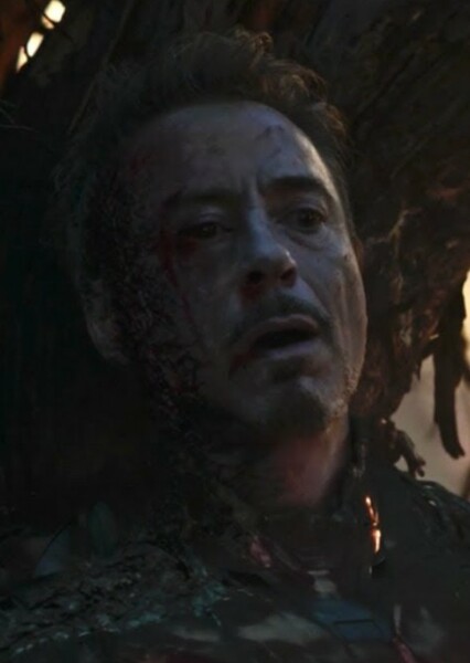 Robert Downey Jr. photo