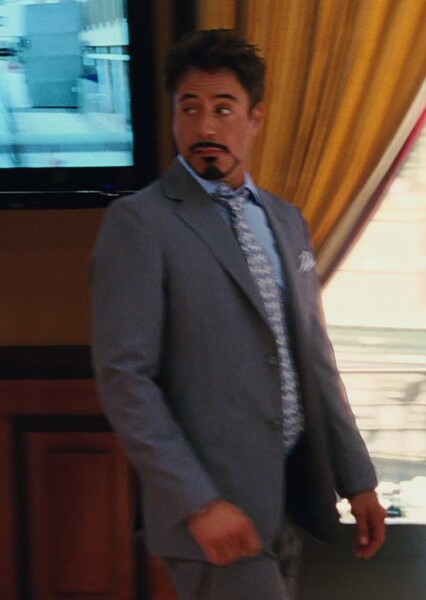 Robert Downey Jr. photo