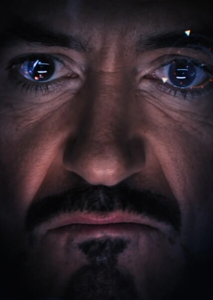 Robert Downey Jr. photo