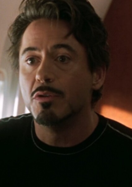 Robert Downey Jr. photo