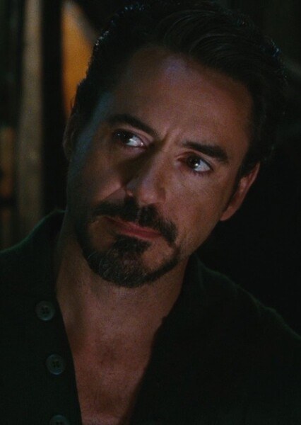 Robert Downey Jr. photo