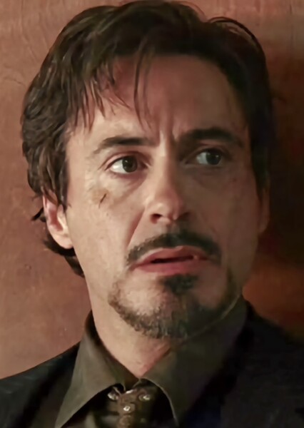 Robert Downey Jr. photo