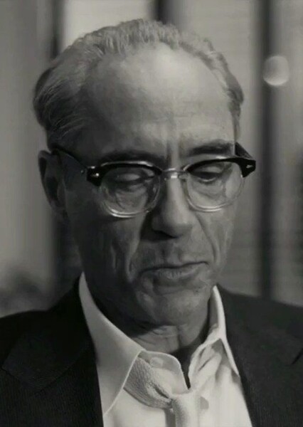 Robert Downey Jr. photo