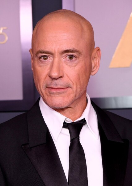Robert Downey Jr. photo