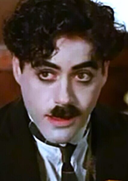 Robert Downey Jr. photo